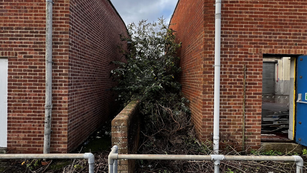 What Happens If You Ignore Party Wall Etiquette Reading
